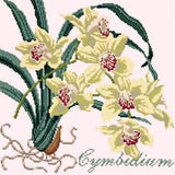 Cymbidium (Boat Orchid) Needlepoint Kit Elizabeth Bradley Design Cream 