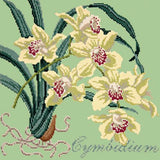 Cymbidium (Boat Orchid) Needlepoint Kit Elizabeth Bradley Design Pale Green 