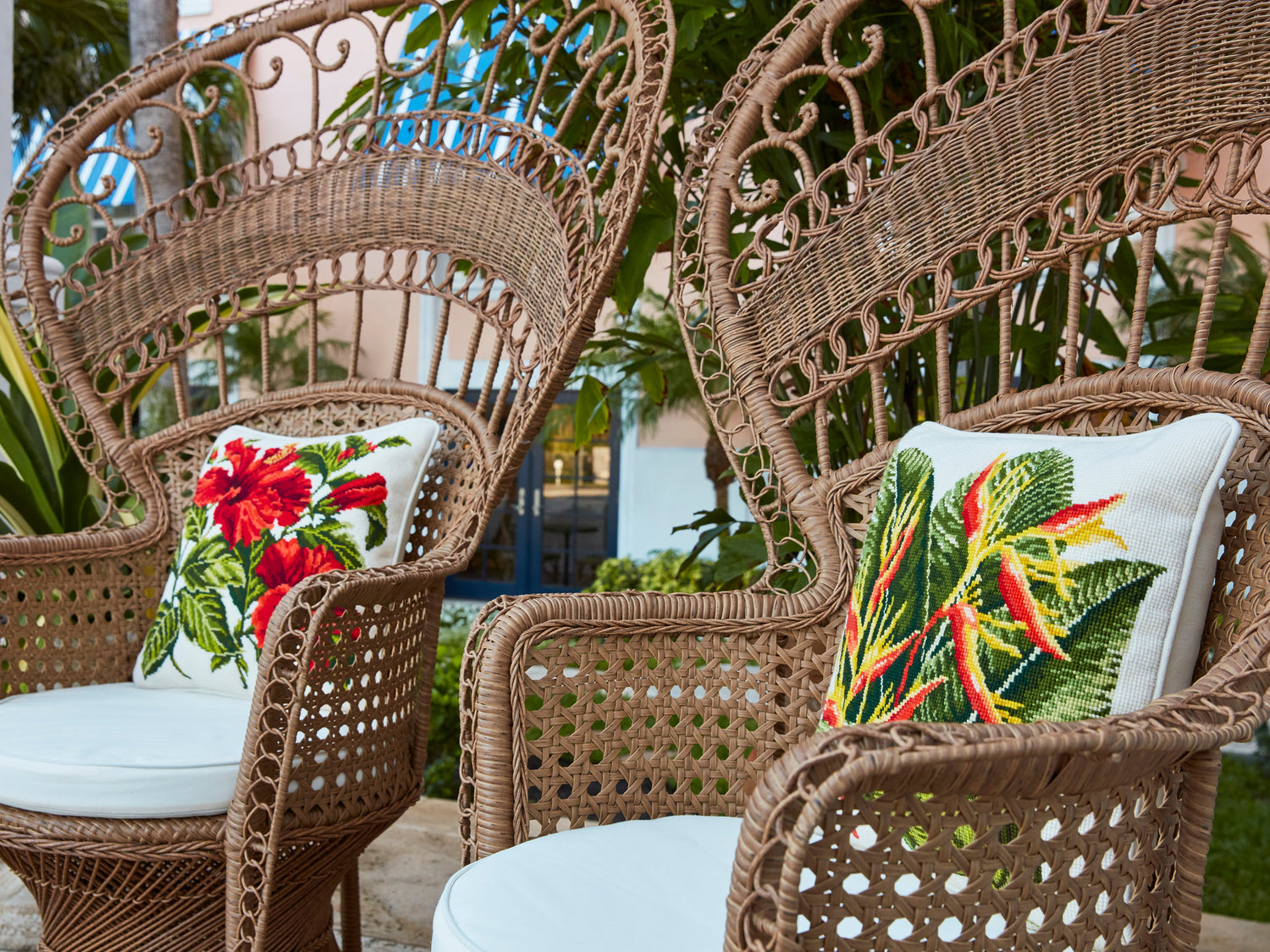 Tropical Collection
