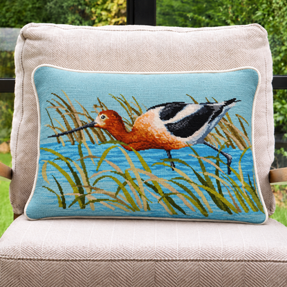 The American Avocet
