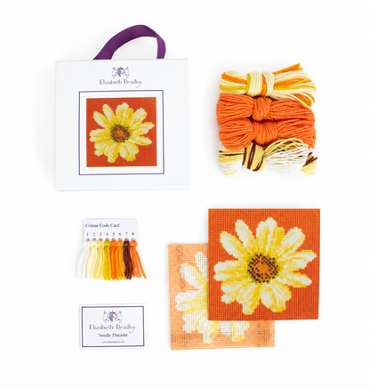 Daisy Mini Kit