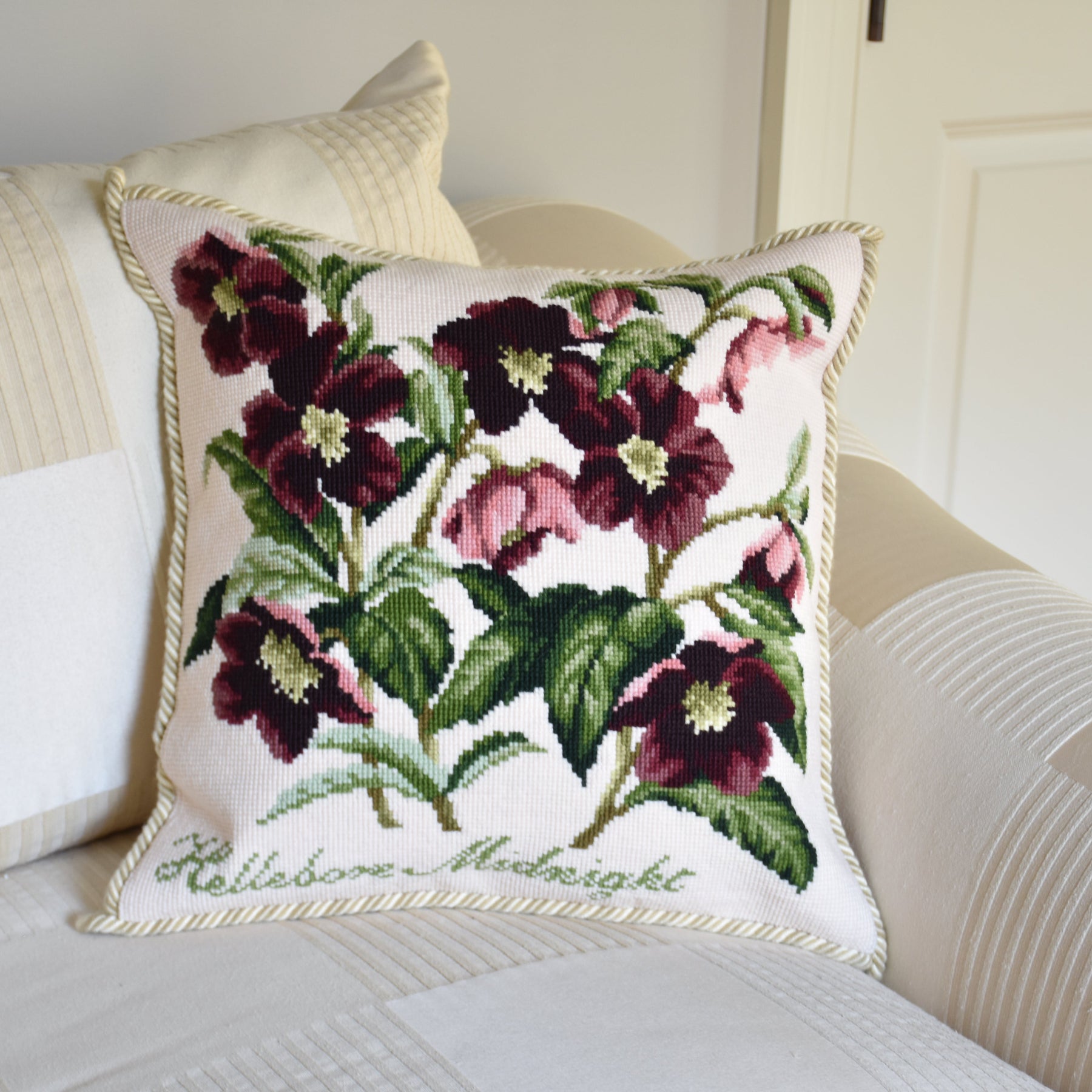 Hellebore Midnight