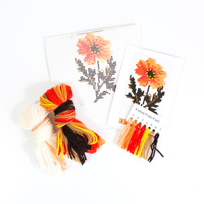 Dahlia Starter Kit