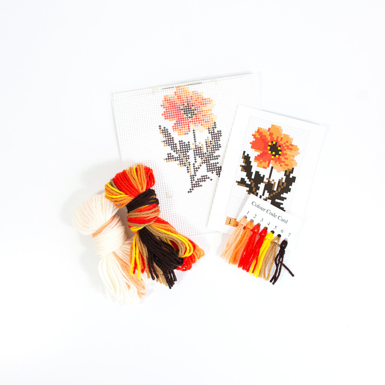 Dahlia Starter Kit