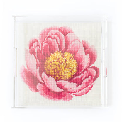 12" Acrylic Tray