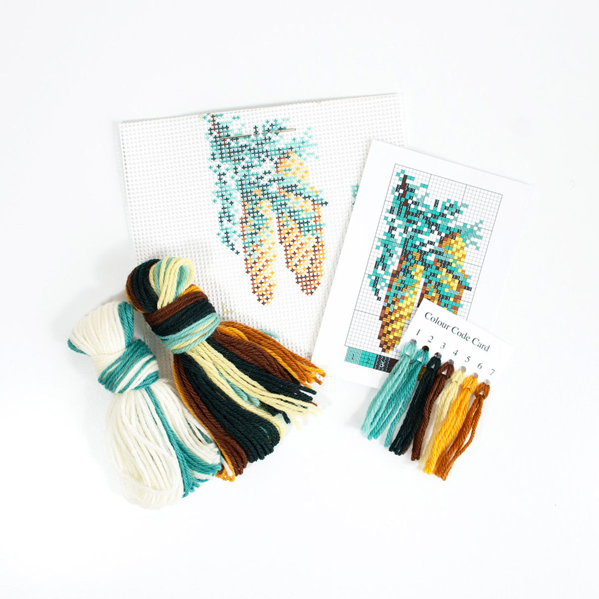Fir Cone Starter Kit