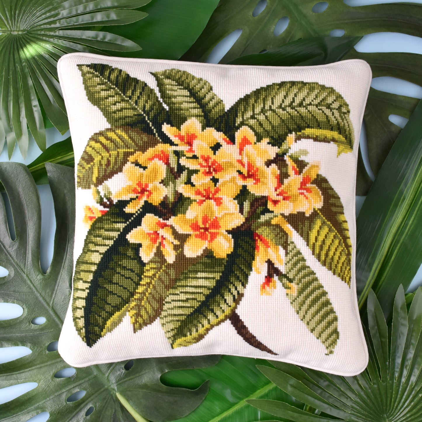 Frangipani