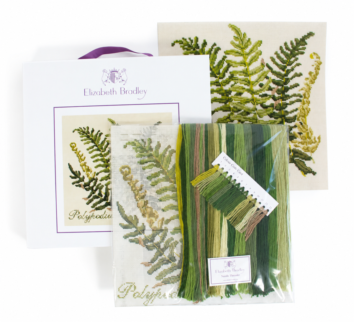 Polypodium