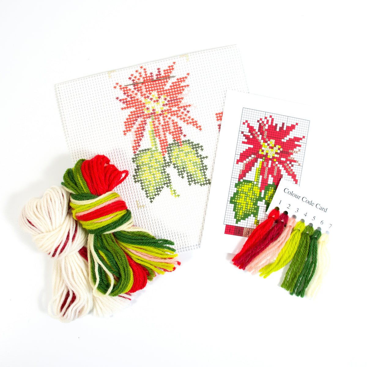 Poinsettia Starter Kit