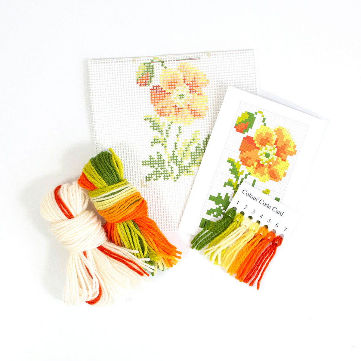 Poppy Starter Kit