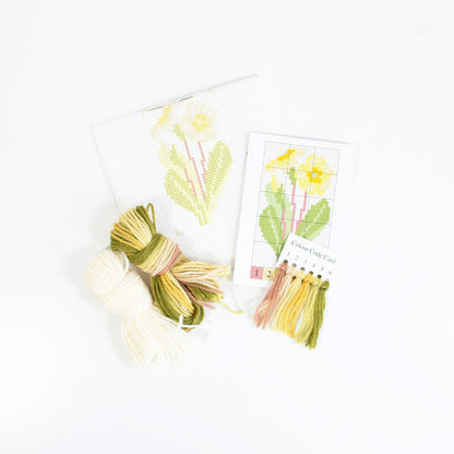 Primula Starter Kit