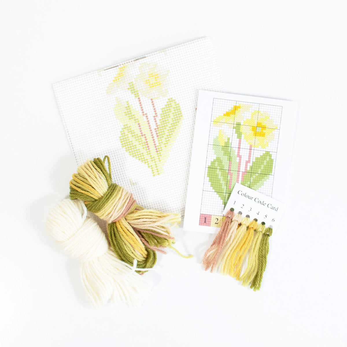 Primula Starter Kit