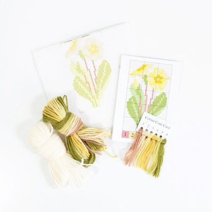 Primula Starter Kit