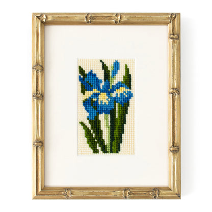 Iris Starter Kit