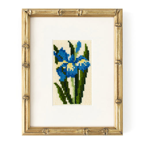 Iris Starter Kit