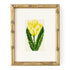 Tulip Starter Kit