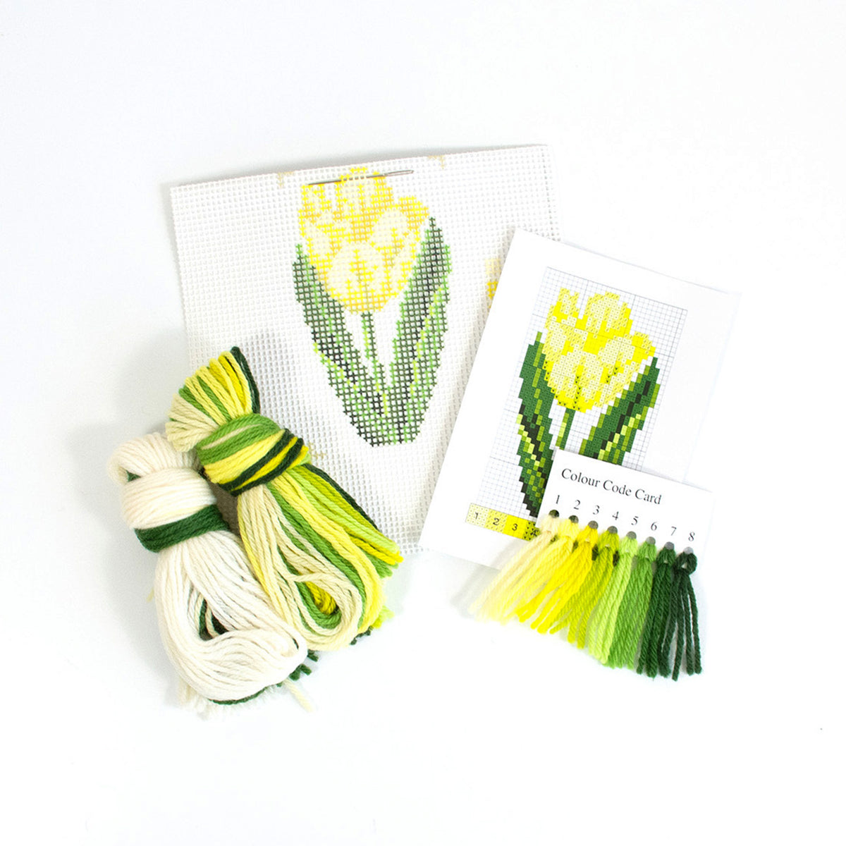 Tulip Starter Kit