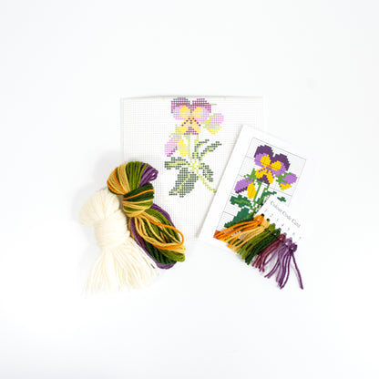 Viola Starter Kit