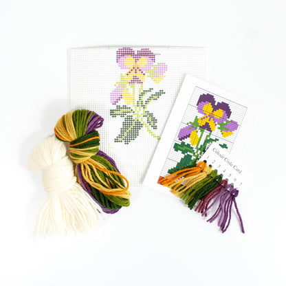 Viola Starter Kit