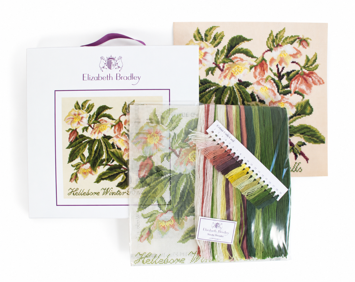 Hellebore Winter Bells