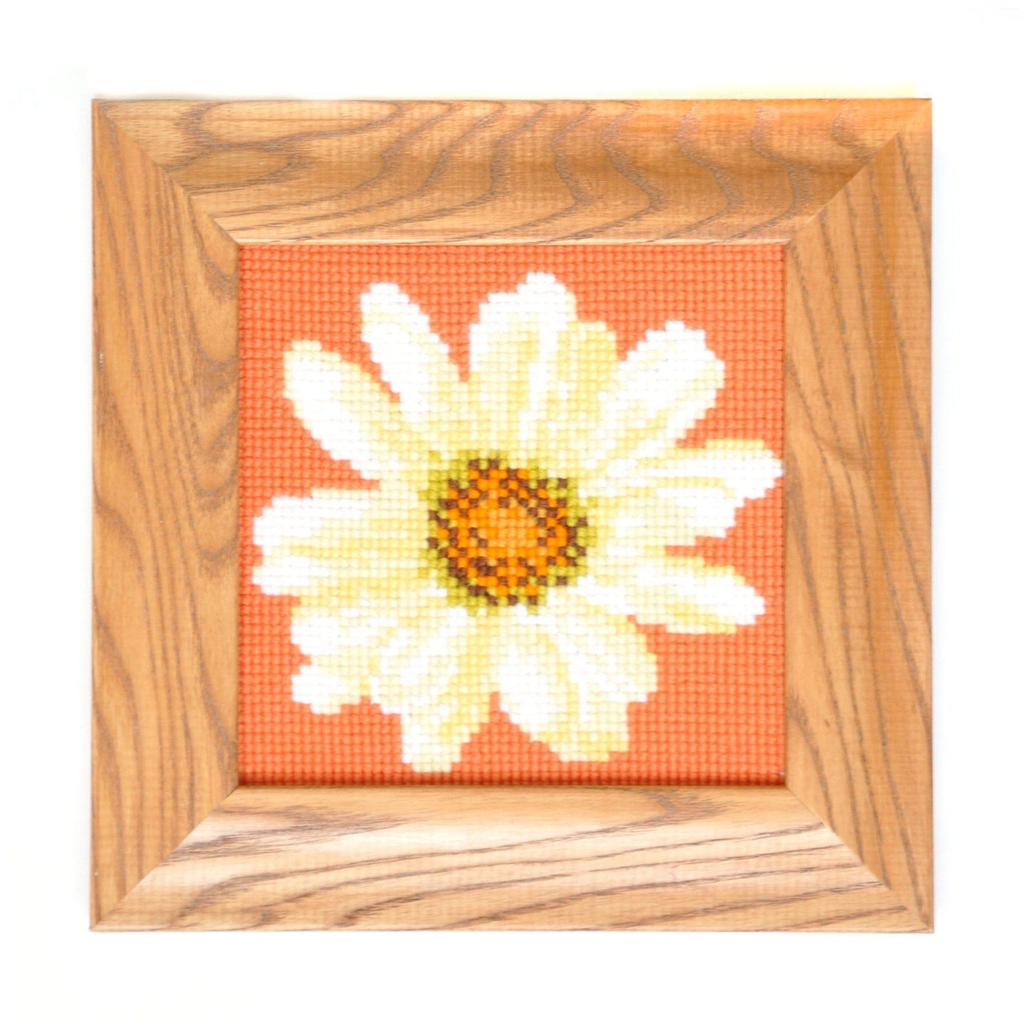 Daisy Mini Kit