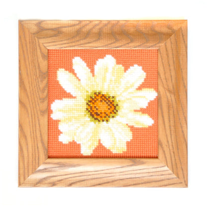 Daisy Mini Kit