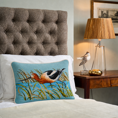 The American Avocet