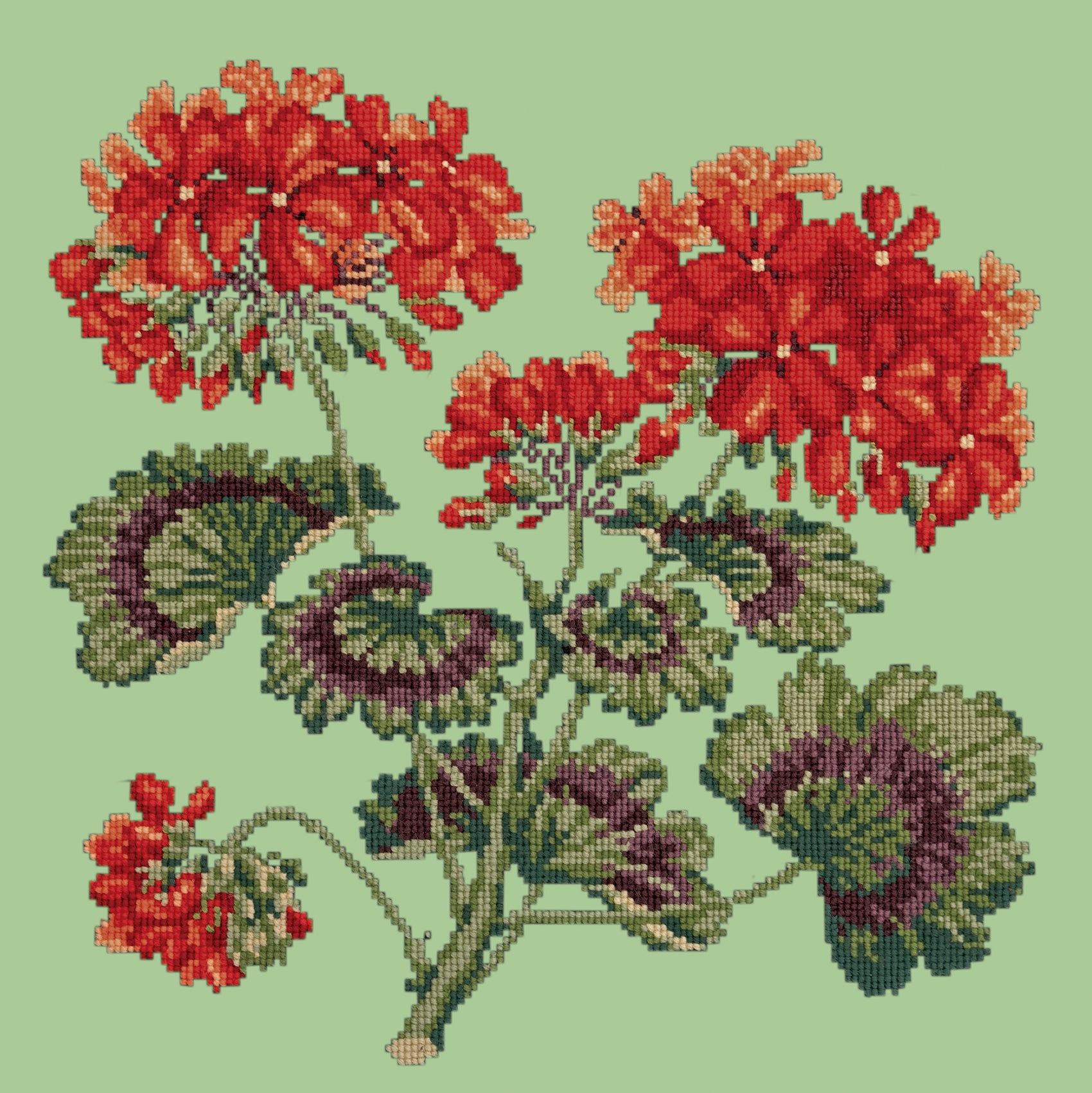 Geranium Needlepoint Kit | Elizabeth Bradley Design – Elizabeth Bradley UK