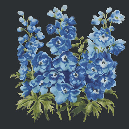 Delphinium