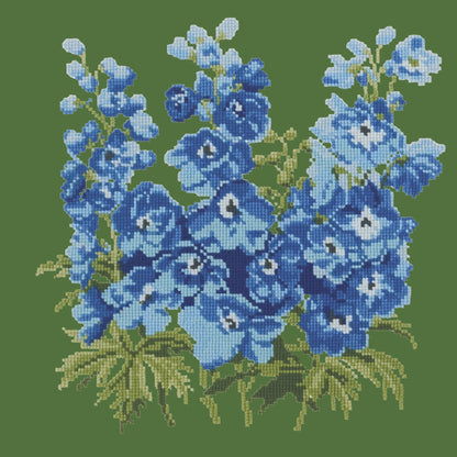 Delphinium