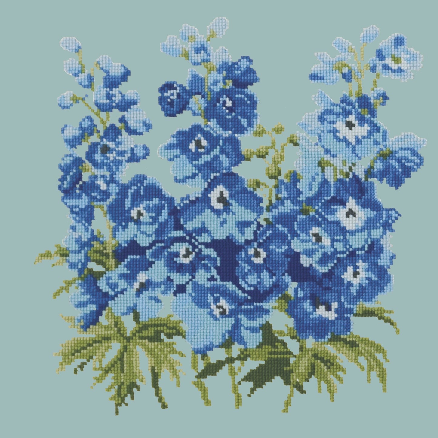 Delphinium