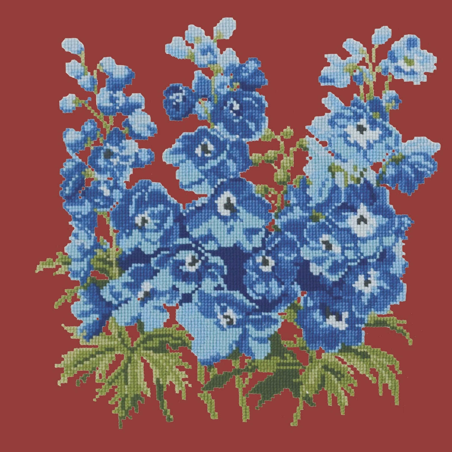 Delphinium