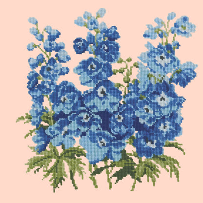 Delphinium