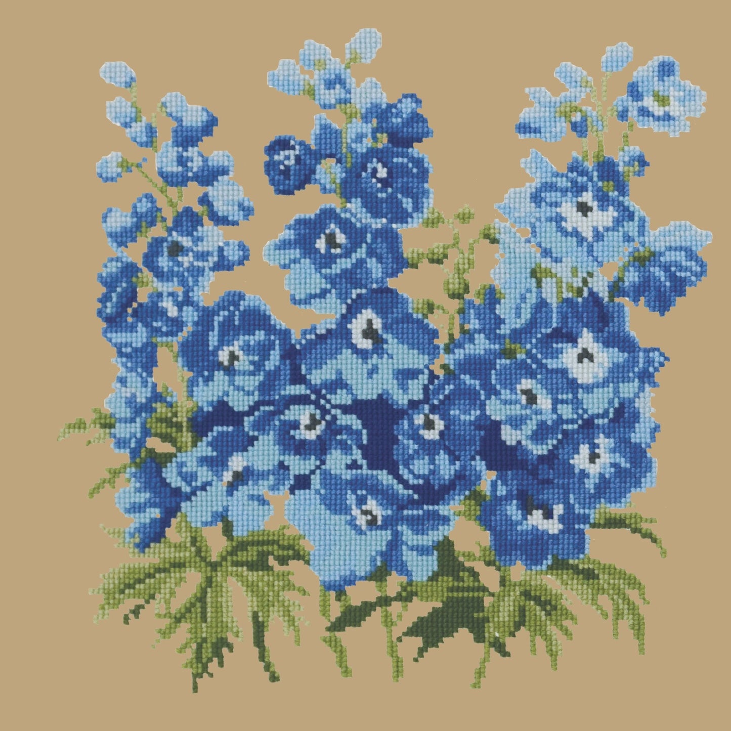 Delphinium