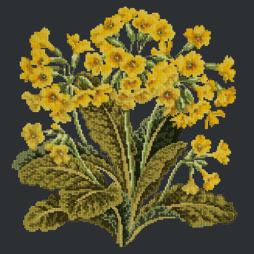 Cowslip