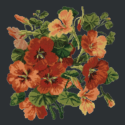 Nasturtium