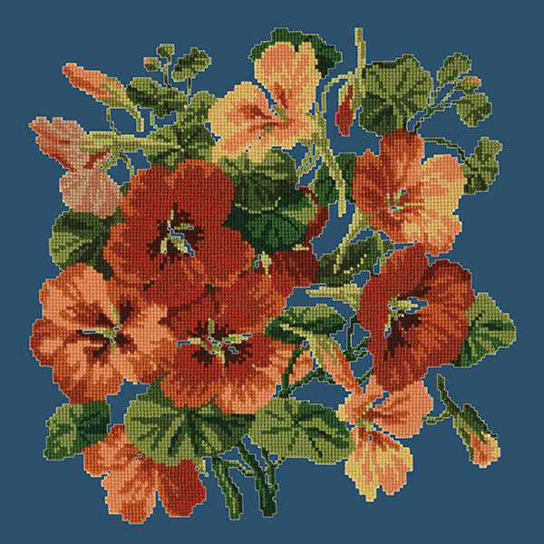 Nasturtium