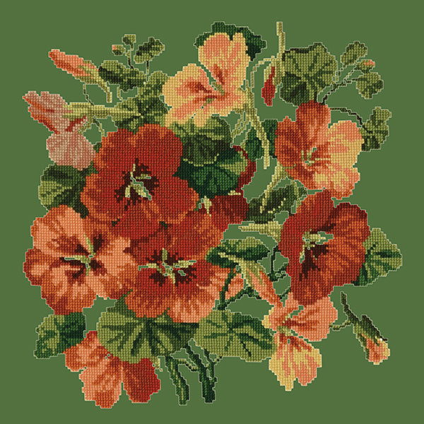 Nasturtium