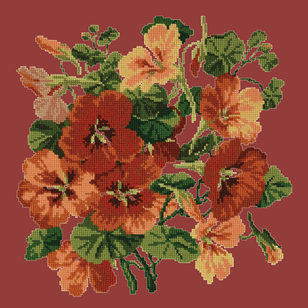 Nasturtium