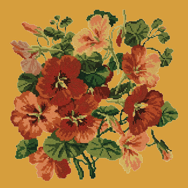 Nasturtium