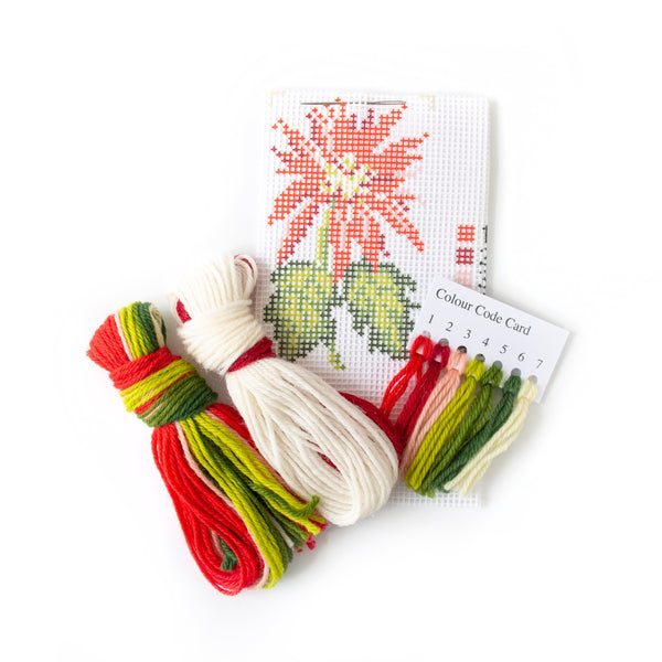 Poinsettia Starter Kit
