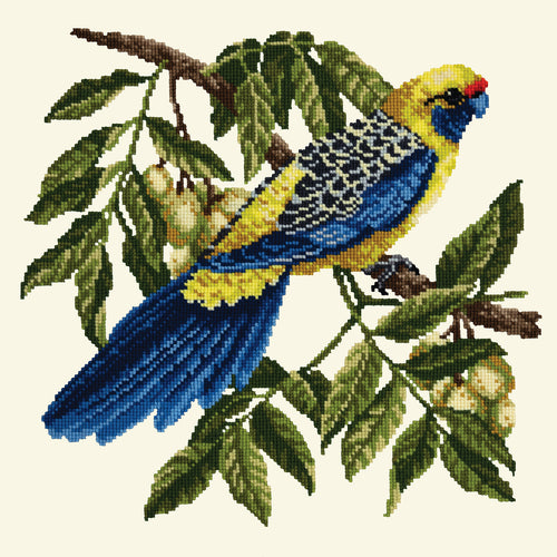 Rosella