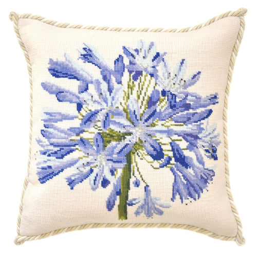 Agapanthus
