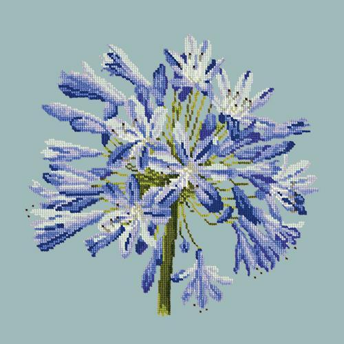 Agapanthus Needlepoint Kit Elizabeth Bradley Design Pale Blue 