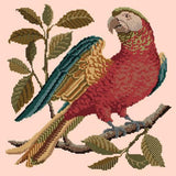 Alister the Parrot Needlepoint Kit Elizabeth Bradley Design Salmon Pink 