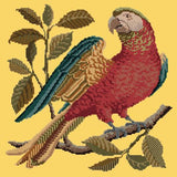 Alister the Parrot Needlepoint Kit Elizabeth Bradley Design Sunflower Yellow 