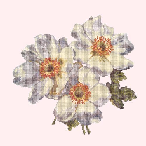 Anemones Needlepoint Kit Elizabeth Bradley Design Cream 