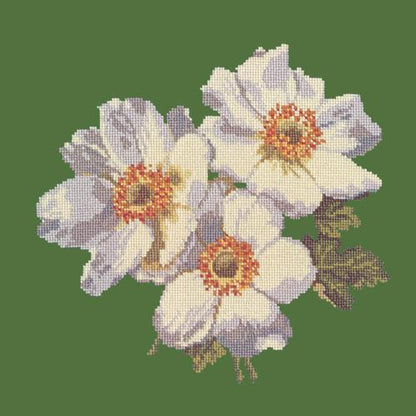 Anemones Needlepoint Kit Elizabeth Bradley Design Dark Green 