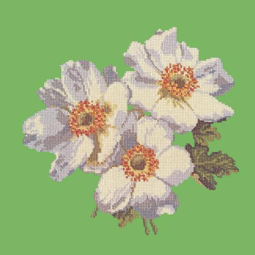 Anemones Needlepoint Kit Elizabeth Bradley Design Grass Green 