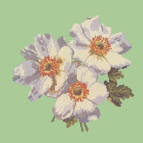 Anemones Needlepoint Kit Elizabeth Bradley Design Pale Green 